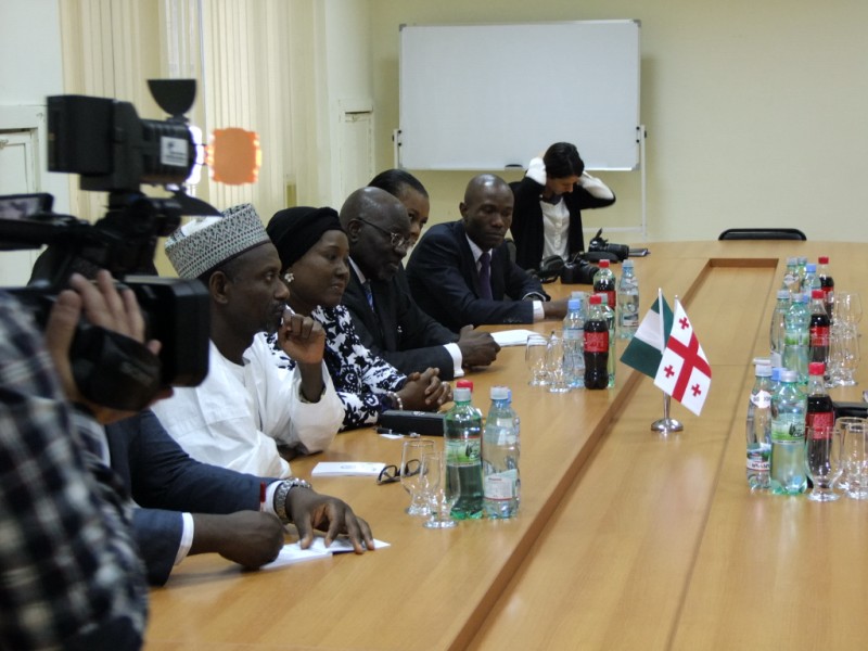 Delegation from Federal Republic of Nigeria at Tbilisi State Medical University